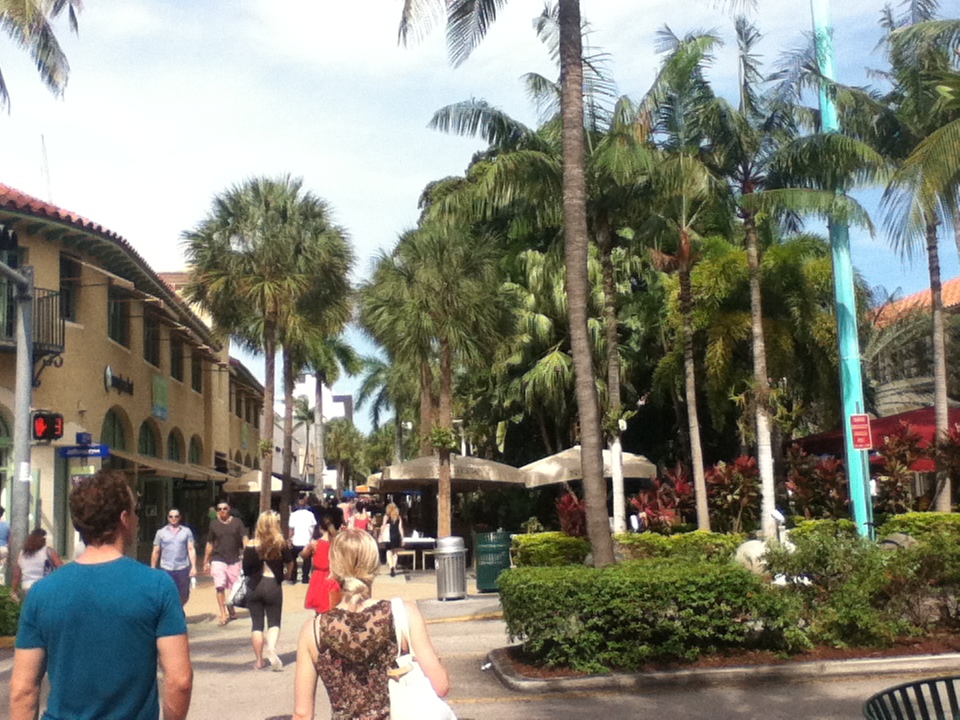 Adventures in the Dream Sawgrass Mills, Lincoln Road Mall It's All